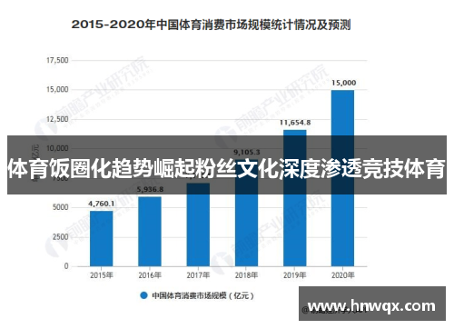 体育饭圈化趋势崛起粉丝文化深度渗透竞技体育