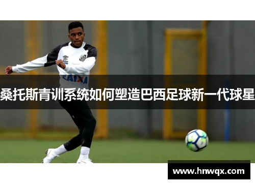 桑托斯青训系统如何塑造巴西足球新一代球星