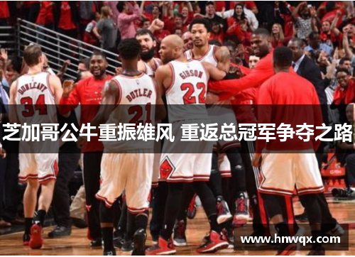 芝加哥公牛重振雄风 重返总冠军争夺之路