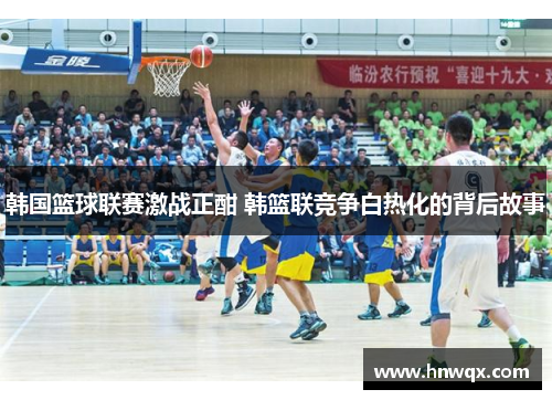 韩国篮球联赛激战正酣 韩篮联竞争白热化的背后故事