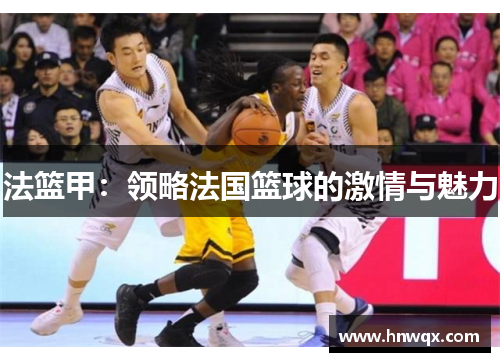 法篮甲：领略法国篮球的激情与魅力